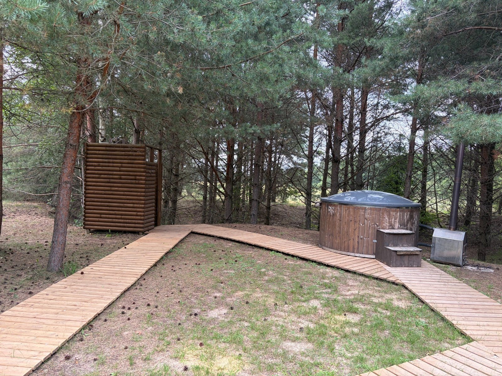 Kubilas tarp medinių takų