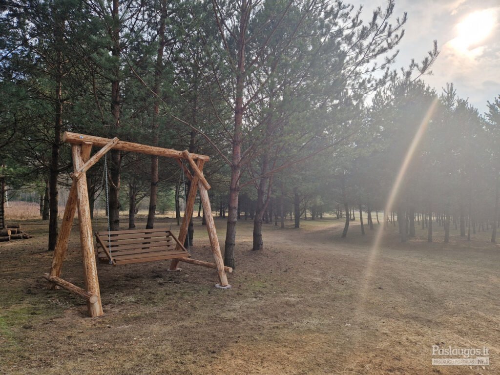 Miško erdvė